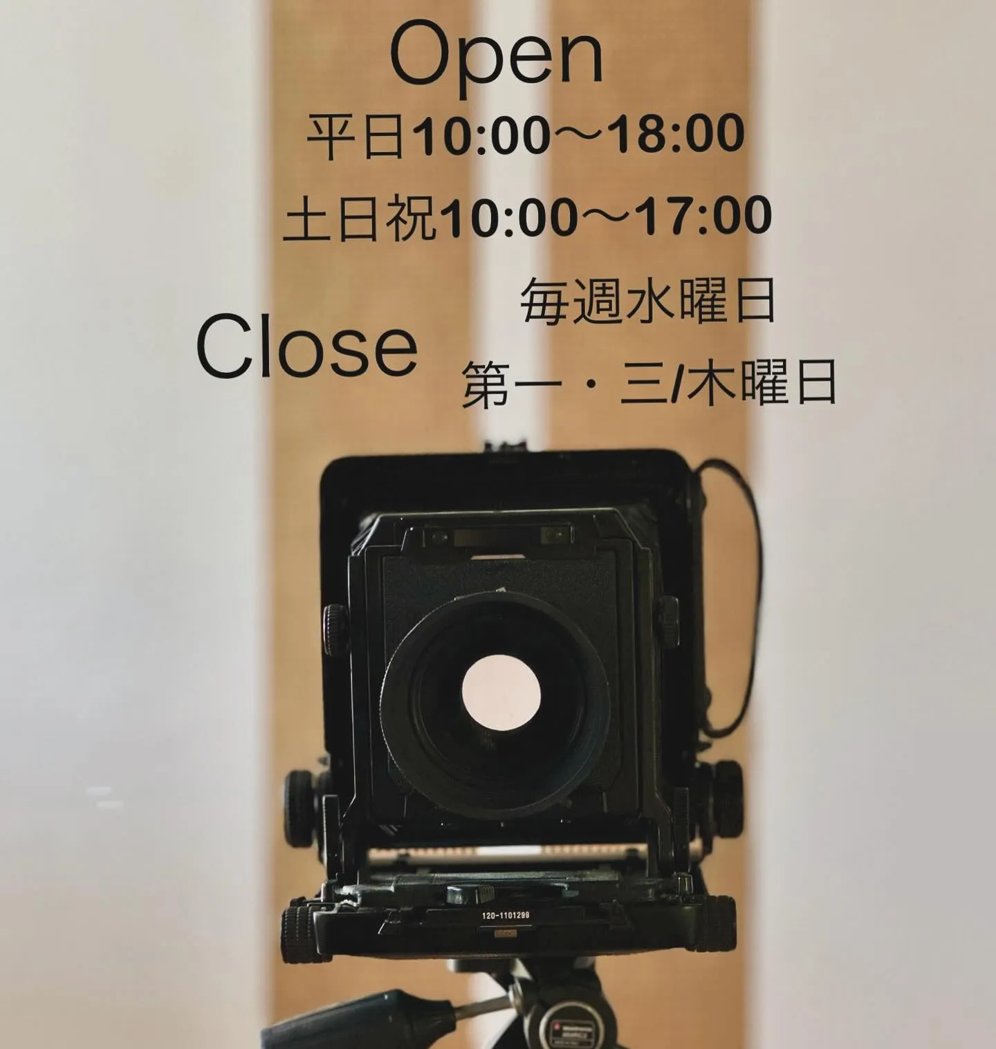 昨日、本日と📸忙しくさせてもらってます🙏