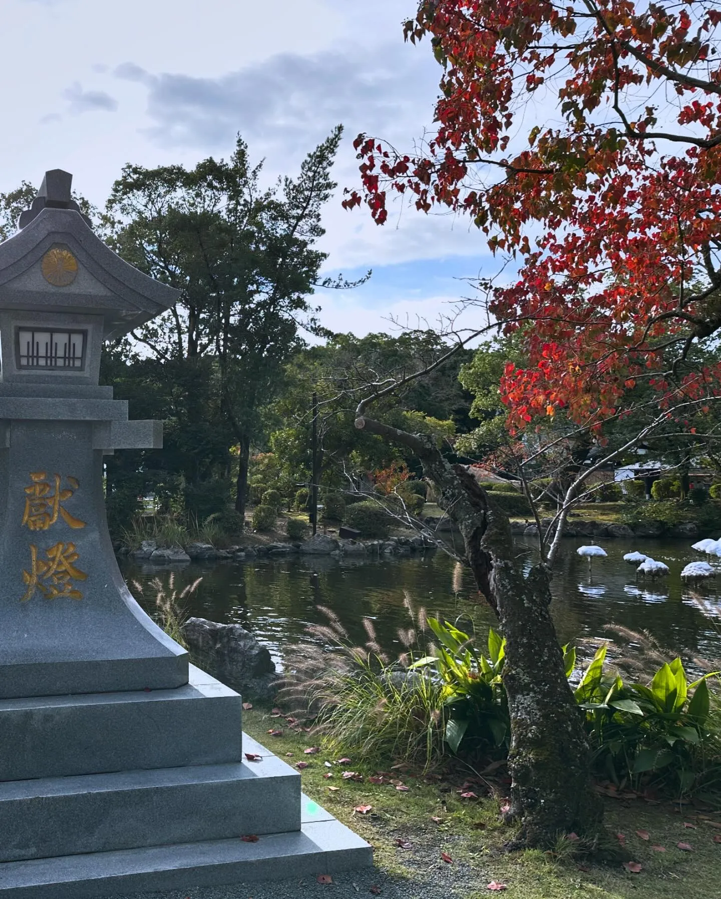 先週も沢山の撮影📸のご縁を頂きました😊