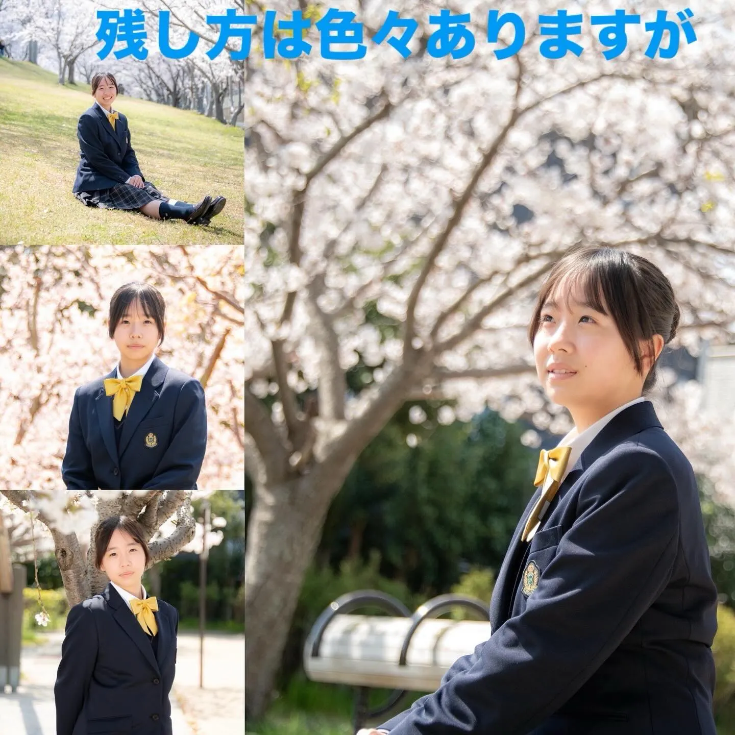 ご入学おめでとうございます。