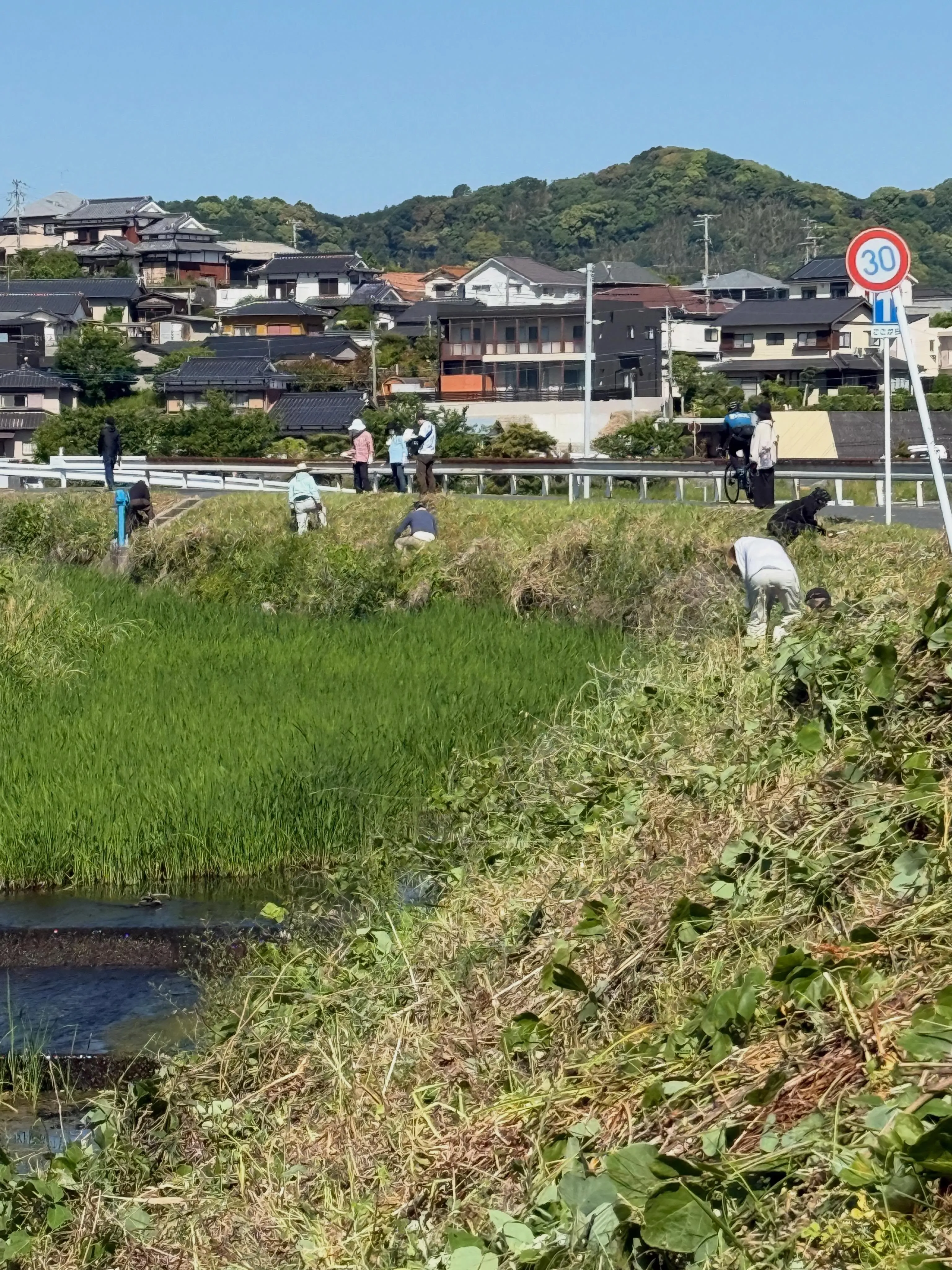毎年この時期に行われる地域草刈り活動🌱